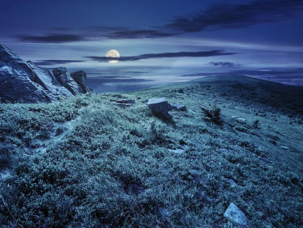 Path through hillside with white boulders at night — Stock Photo, Image