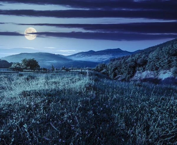 Hillside gece dağ çayır çit — Stok fotoğraf