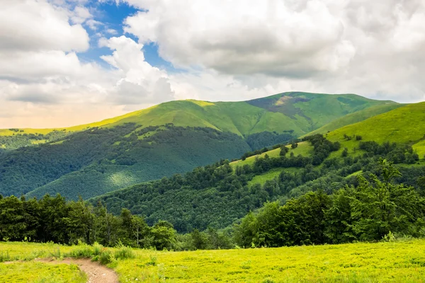 Camino a través del bosque en las montañas — Foto de Stock