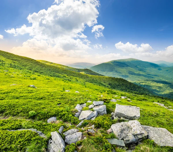 Hillside with white stones at sunrise — Stock Photo, Image