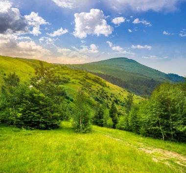 dağlar, gündoğumu ormanda yol