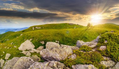 gün batımında büyük kayalar arasında hillside ağaçta