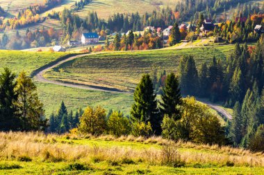 forest yakınındaki yamaca Köyü