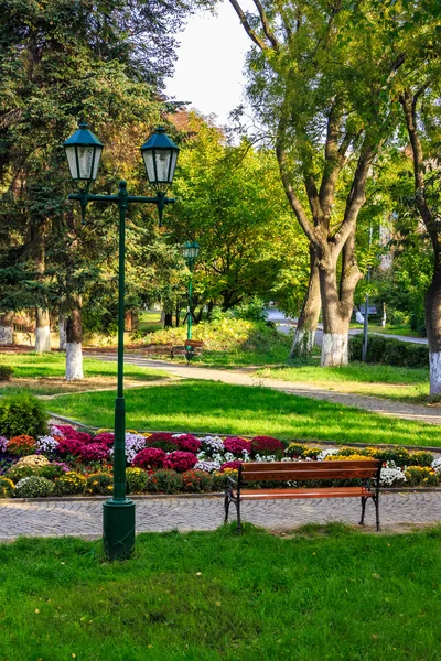 City lights in the park — Stock Photo, Image