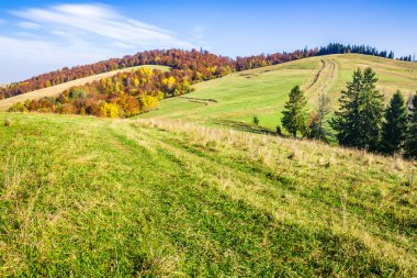 sonbahar orman dağlarında