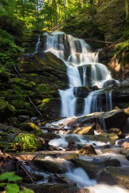 Yeşil orman büyük şelale