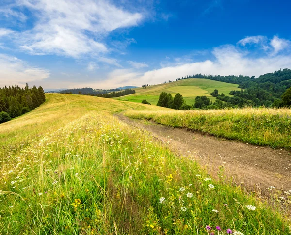 Road through the meadow on hillside at sunrise — Stock Photo, Image