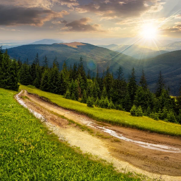 Estrada através da floresta de coníferas nas montanhas ao pôr do sol — Fotografia de Stock