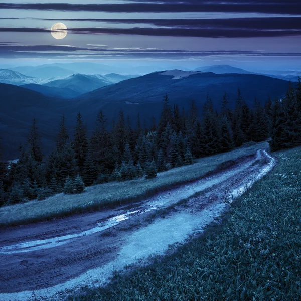 Camino a través del bosque de coníferas en las montañas por la noche —  Fotos de Stock