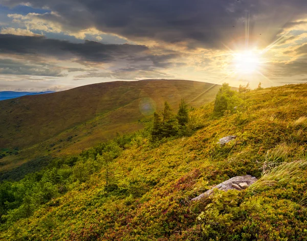 Pietre e conifere in collina al tramonto — Foto Stock