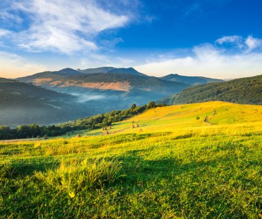 haystacks tarım alanında bulunan dağ