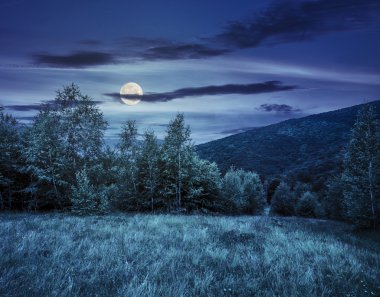 Geceleri dağlarda forest yakınındaki çayır
