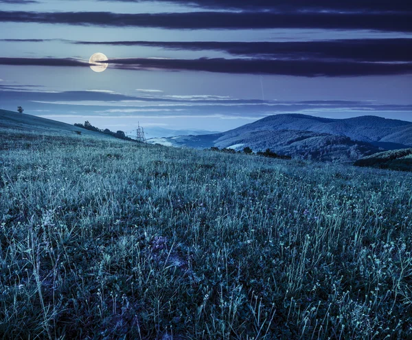 Green meadow on a mountain hillside at night — Stock Photo, Image