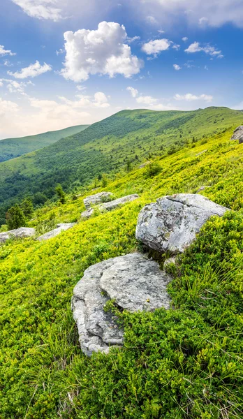 Білі валуни на схилі пагорба — стокове фото