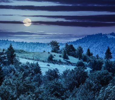 hillside gece dağ çayır çit