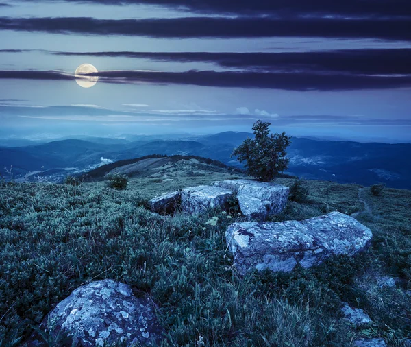 Albero e massi su prati collinari in montagna di notte — Foto Stock