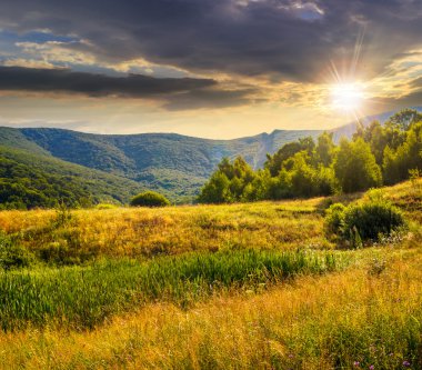 gün batımında Dağları'nda yamaç çayır üzerinde orman