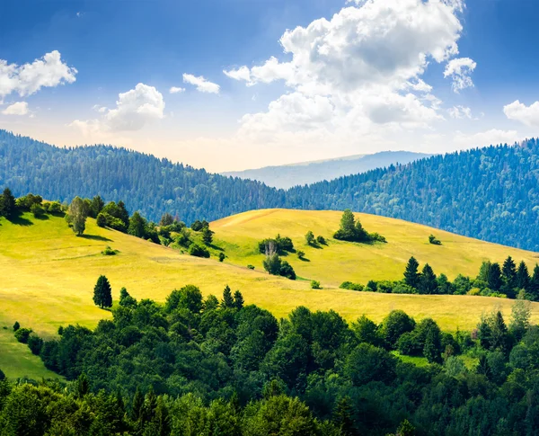 Heuvels met weide onder bergen bos bij zonsopgang — Stockfoto