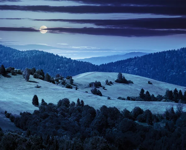 Collines avec prairie au milieu des montagnes forêt la nuit — Photo