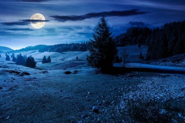 Sonbaharda geceleri güzel dağ manzarası. Doğal parktaki kozalaklı orman. Kırsal vadi, sisli havada tepelerde çimenli otlaklar. Dolunay ışığında inanılmaz bir kırsal.