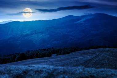 lush alpine meadow in summer at night. green carpathian mountain landscape under dark sky. beautiful open view in to the distant valley. majestic countryside. outdoor adventures in full moon light