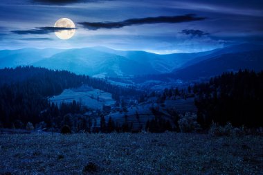Sonbaharda çayırın arkasındaki kozalaklı ormanların olduğu bir manzara. Mavi gökyüzü ve dolunay ışığında dağ sırtı olan doğa arkaplanı. Alp ormanları