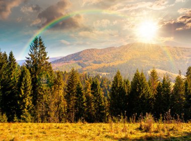 Sonbaharda gün batımında çayırın arkasındaki kozalaklı ormanın manzarası. Mavi gökyüzü ve akşam ışığında dağ sırtı olan doğa arka planı. Alp ormanları