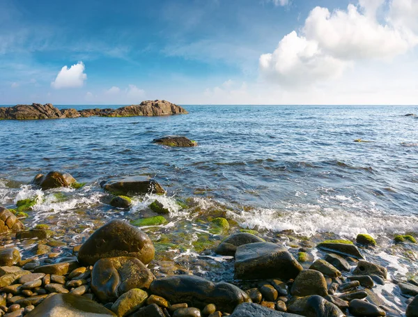 Sabahleyin çakıl taşı kıyısı. Karadeniz 'de güzel bir yaz tatili mevsimi