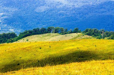 Güneşli bir günde Ukrayna 'nın yeşil dağlık arazileri. Yazın Karpatlar 'ın dağ manzarası. Yuvarlanan tepelerin ve yemyeşil çayırların güzel manzarası. Pürüzlü ışıktaki cennet gibi Alpler 'in doğa manzarası