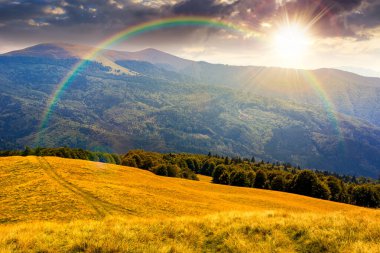 Yazın gün batımında yemyeşil dağlarda. Gökkuşağının altındaki yeşil Karpat dağ manzarası. Uzaktaki vadiye açılan güzel bir manzara. Görkemli kırsal bölge. Akşam ışığında açık hava maceraları