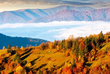 Sonbaharda Ukrayna 'nın dağ manzarası. Hafta sonu için manzaralı bir yer. Uzak vadide sis var. Orman sabah vakti tepelerde. Parlak gökyüzü ile hava tahmini arka planı. Kırsal manzara