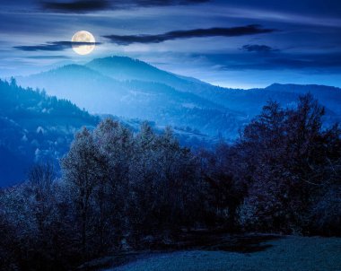 Sonbaharda geceleri dağ manzarası. Dolunay ışığında tepelerde renkli bir orman. Sonbahar mevsiminde Karpat kırsal vadisinin güzel manzarası. Çayır yakınlarındaki yaprak döken ağaçların olduğu manzaralı bir yer.