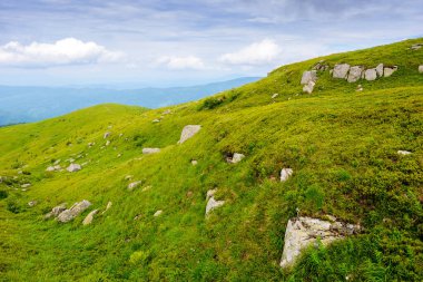 Yazın dağlık çayırlarda muazzam kayalıklarla nefes kesici dağ manzarası. Karpat Alplerinin güzel doğası. Tepeleri ve bulutlu gökyüzünün altında yeşil yamaçları olan dramatik bir manzara. Açık hava macerası