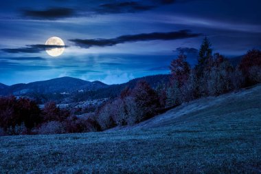 Sonbaharda geceleri dağ manzarası. Rengarenk yaprakları olan güzel bir manzara. Alplerde, dolunay ışığında kırsal bir yer. Kırsal manzara