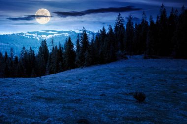 Baharda geceleri ladin ormanlarıyla kaplı dağ manzarası. Dolunay ışığında tepedeki çayır. Gökyüzünün altında bulutlarla karla kaplı uzak mesafeler. Güzel kırsal manzara