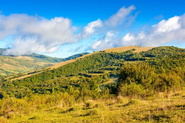 Dağlarda güneşli bir sonbahar günü. Ukrayna kırsalının güzel manzarası. Yamaçtaki orman ve çimenli çayır. Bulutlu mavi gökyüzünün altındaki uzak sırt.