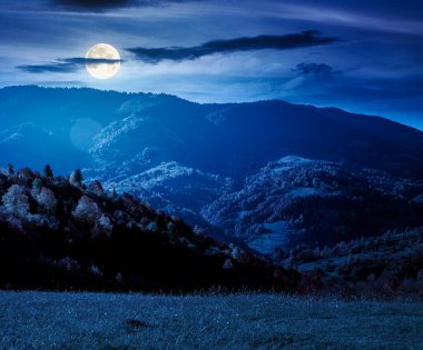 Sonbahar geceleri dağ manzarası. Tepenin yamacındaki sonbahar yapraklarının güzel manzarası. Karanlık gökyüzünün altında, dolunay ışığında kırsal alan. Yokuştaki korkutucu ormanın manzarası
