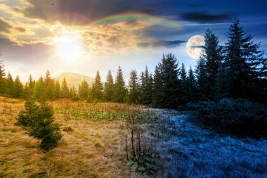 Çayırdaki köknar ağaçları. Gündüz ve gece zaman kavramını değiştirir. Gökyüzünün altındaki dağlarda kozalaklı ormanlarla, alacakaranlıkta güneş ve ay olan doğal manzara. güzel alp manzarası