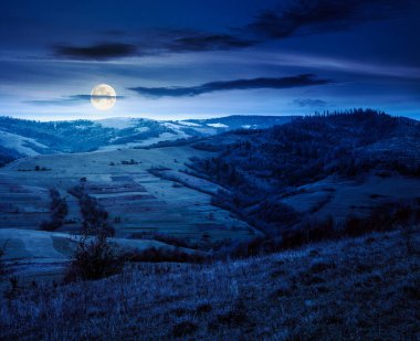 Sonbaharda geceleri kırsal dağ manzarası. Alpler dolunay ışığında. Güzel yer. Yuvarlanan tepelerdeki ormanın manzarası. Doğadaki güzellik ve kırsal sürdürülebilirlik kavramı