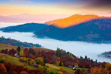 Sonbaharda gün doğumunda Karpatlar 'ın dağ manzarası. Uzak vadideki sis. Tepelerdeki renkli ağaçlar. Ukrayna 'nın güzel kırsal manzarası sabah ışığı ve sisli. resim gibi kırsal bir yer