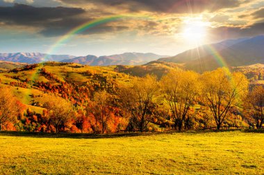 Sonbaharda gün batımında dağ manzarası. Rengarenk yaprakları olan güzel bir manzara. Alpler 'de akşam ışığında kırsal bir yer. Kırsal manzara