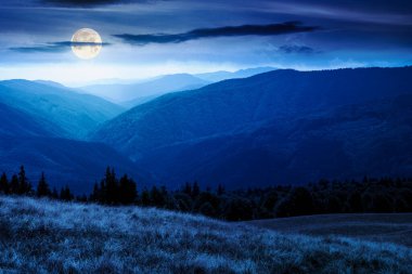 lush alpine meadow in summer at night. green carpathian mountain landscape under dark sky. beautiful open view in to the distant valley. majestic countryside. outdoor adventures in full moon light