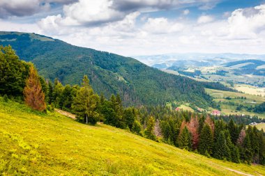 Mavi gökyüzü altında gün ışığında bulutlu Ukrayna 'nın dağ manzarası. Yeşil çayır, yuvarlak tepeler ve vadi olan kırsal alan. Yazın yürüyüş yeri. Doğa geçmişi ve tazelik kavramı