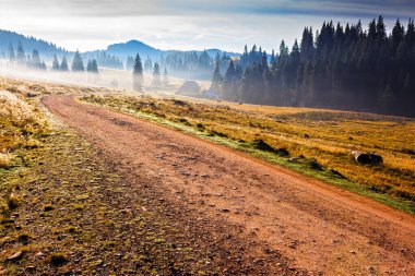 Kırsal yol, sonbaharda gün doğumunda Romanya 'nın dağ manzarası boyunca uzanır. Apuseni doğal parkında sisli bir sabahta yuvarlanan tepelerde kozalaklı orman. Güzel bir kırsal seyahat geçmişi var. bulutlu gökyüzü