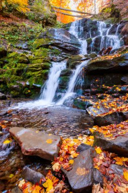 Şelale shypit 'li güzel sonbahar manzarası. Ukrayna 'nın Karpat Dağları' nda popüler bir yer. Altın yapraklı orman. Sonbahar mevsiminde inanılmaz güneşli hava