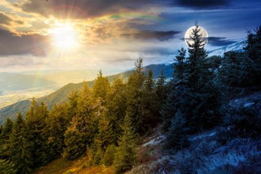 Dağ manzarasında kozalaklı orman. Gündüz ve gece zaman kavramını değiştirir. Ulusal parkta güneş ve ayın olduğu manzaralı bir yer. Vadinin ve yemyeşil yamacın panoramik manzarası. ikilik ve geçiş şablonu