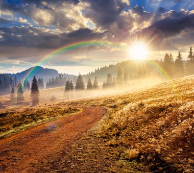Sonbaharda gün batımında dağ manzarası boyunca kırsal yol. Doğal parkta sisli bir akşamda yuvarlanan tepelerde kozalaklı orman. Güzel bir kırsal seyahat geçmişi var. bulutlu gökyüzü