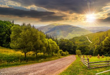 Orman sunse, dağlarda tepeden aşağı road yakınındaki çit