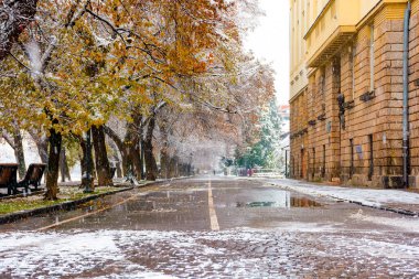 Uzhhorod, Ukrayna - 29 Kasım 2020: İlkbaharda ıhlamur yolu. Yapraklar ve kar ıslak sokağı kaplıyor. Rengarenk ağaçlar, Barajdaki boş banklar. güzel şehir manzarası