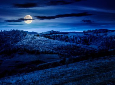 Sonbaharda geceleri kırsal dağ manzarası. Alpler dolunay ışığında. Güzel yer. Yuvarlanan tepelerdeki ormanın manzarası. Doğadaki güzellik ve kırsal sürdürülebilirlik kavramı